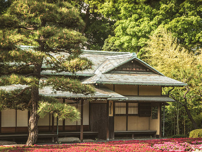 春季传统日式房屋位于绿色公园中间背景图片