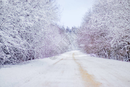 冬季道路的景象沿路的雪图片