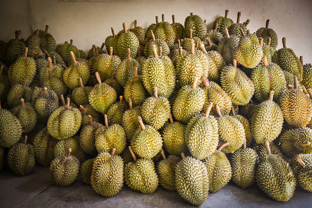 泰国水果市场上的榴莲图片