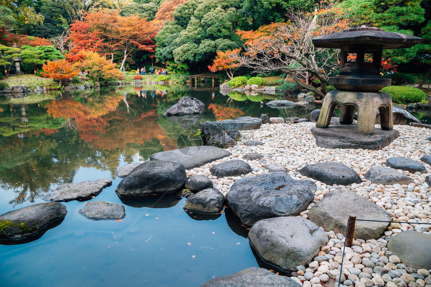日本东京秋天的旧古河庭园图片