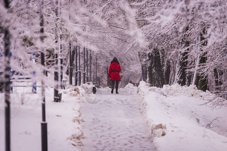 在雪天公园的冬季小巷里穿着红衣和狗图片