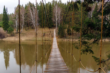 春天森林中河上的木吊桥图片