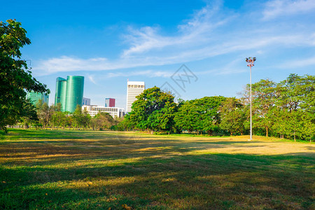 中央市中心公园绿草地和树木图片