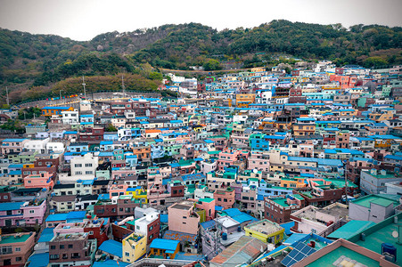 韩国釜山萨哈区滨海山坡上色彩鲜艳色彩鲜艳的甘川文化村风景秀图片