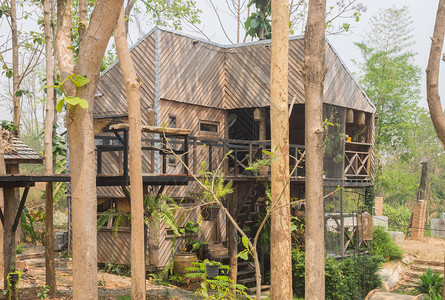 乡村风格缩放视图中的木质外墙房屋设计天然林间的外屋小山上的图片