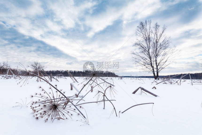 雪地覆盖着积雪的田地雪表面有干草图片