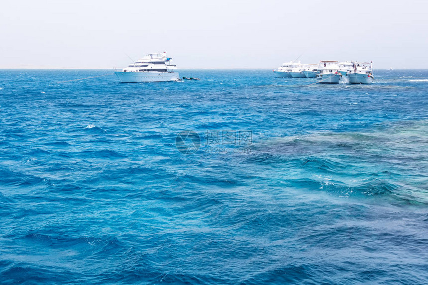 红海珊瑚礁白岛拉斯穆罕默德公园浮潜船之旅游目的地红海滨沙姆图片