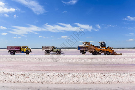 阿根廷拉潘帕矿盐的收获图片