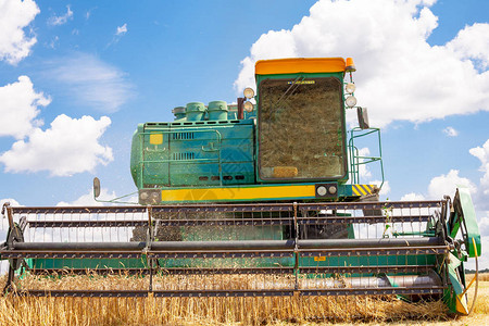 联合机正在农田收割燕麦在麦田工作的联合收割机联合收割机切割成熟图片