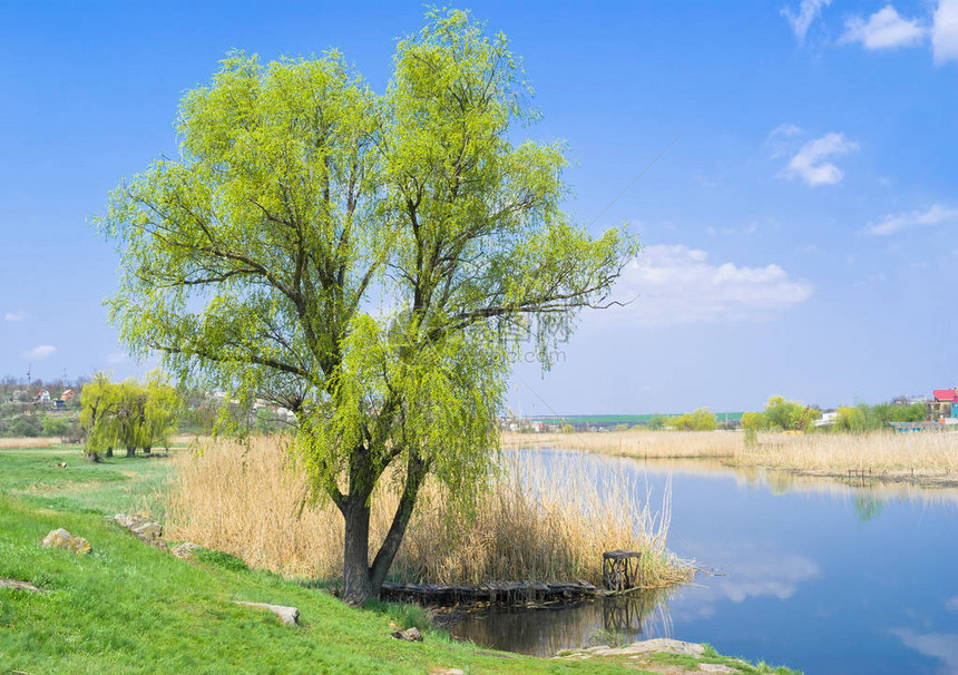 乌克兰春季风景河流有一个安图片
