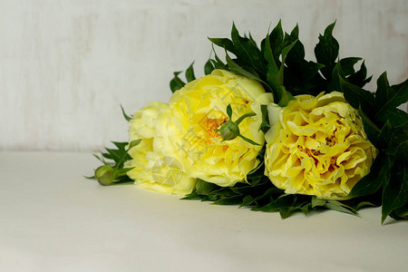 黄色面条的美丽花束贴近了上图片