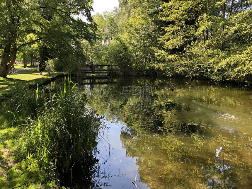 克罗伊茨林根的公园和植物园Seeburgpark图片