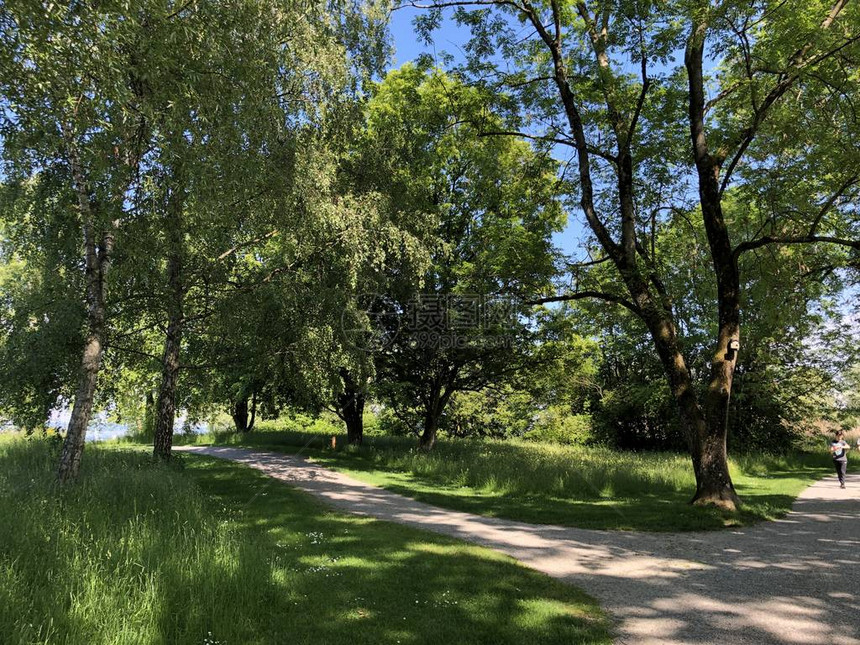 克罗伊茨林根的公园和植物园Seeburgpark图片
