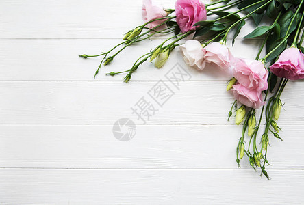 木制背景上的鲜粉色洋桔梗花框图片