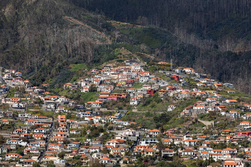 葡萄牙马德拉岛Funchal陡峭坡上的典型梯田建筑位于葡图片