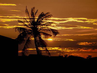 在多彩的日落热带城市椰子图片