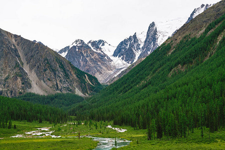 山谷中蜿蜒曲折的山溪与相映成趣溪流中的水流对着冰川高地植被丰富图片
