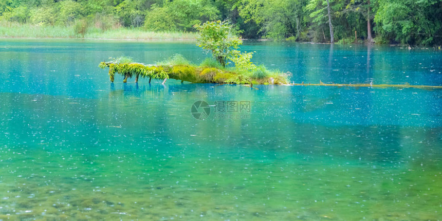 九寨沟湖与林木九寨沟是著名的自然风景区森林茂密图片