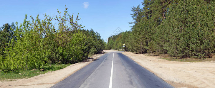 小城全景附近松林中的新柏油公路图片
