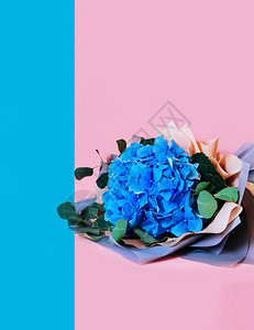 BouquetblueHydrangea蓝色和粉红色背景图片