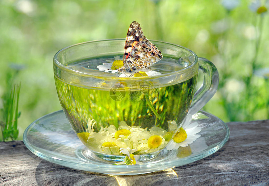 蝴蝶喷漆的女士坐在一杯草药茶上草药茶冷和图片