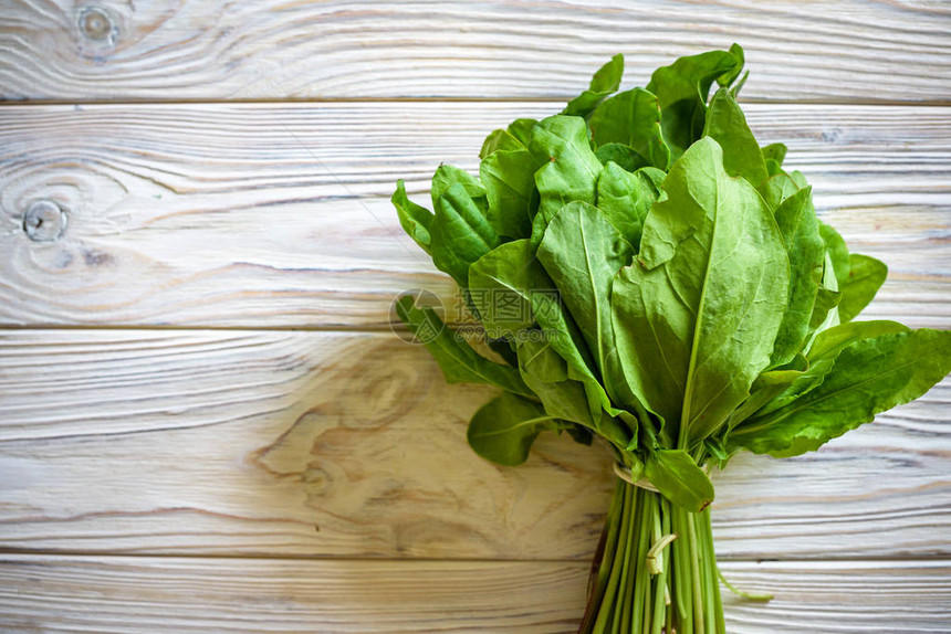 用于春季绿色蔬菜汤和沙拉生酢浆草叶顶视图绿色蔬菜背景春天的绿色蔬菜图片