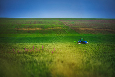 农用拖拉机在田间耕作和喷洒图片