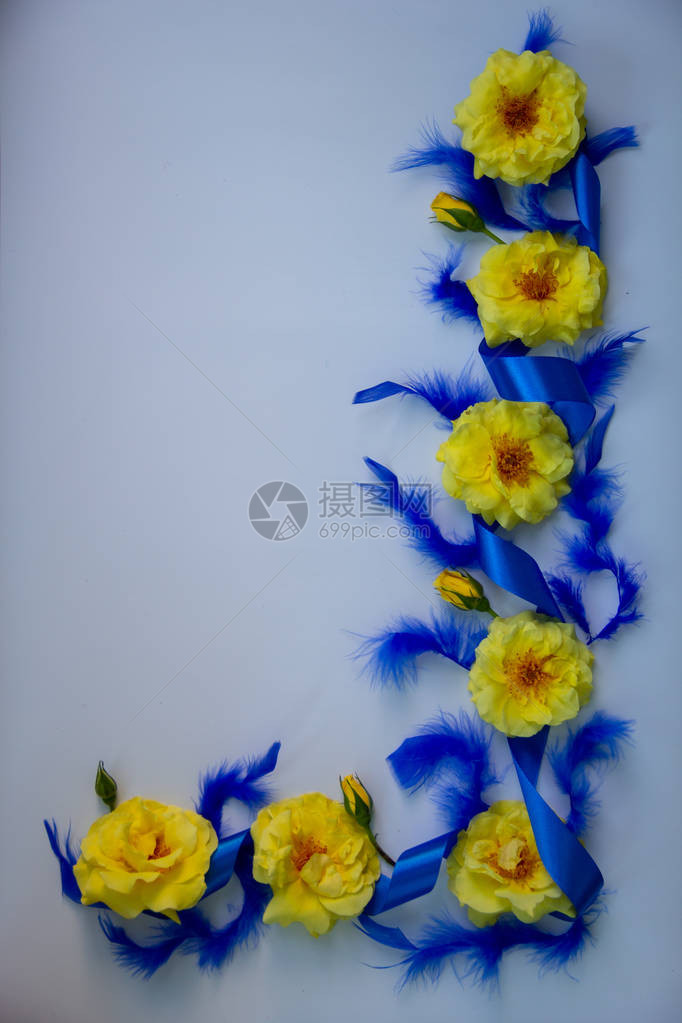 黄香玫瑰丝绸装饰的蓝色丝带白背图片