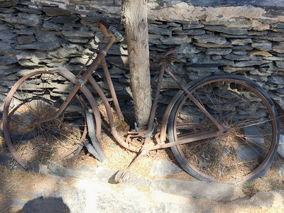 其余的生锈的自行车被遗弃在树下背景