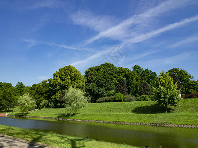 夏日景色美丽阳光明媚的公园绿地图片