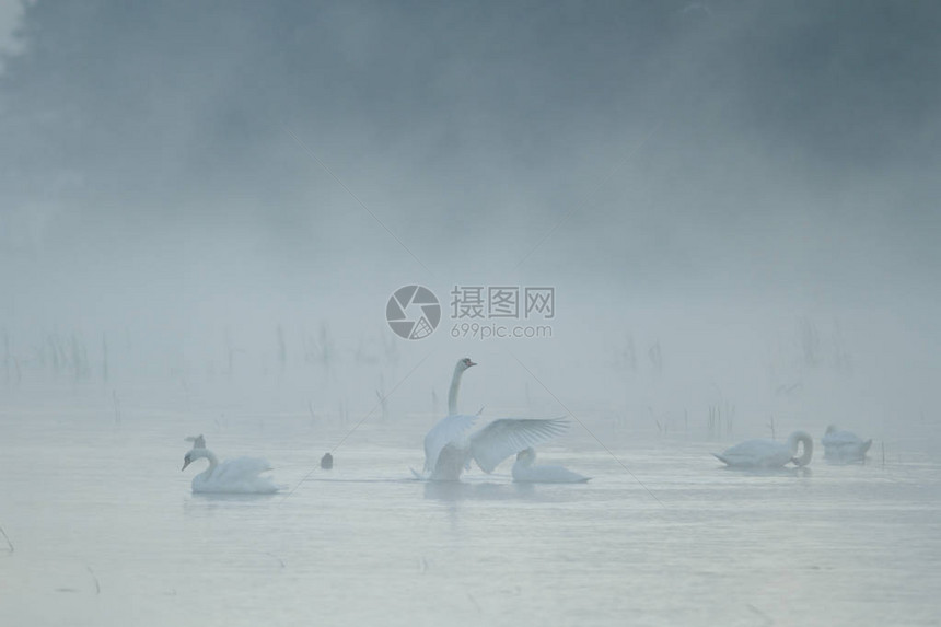 自然河流景观自然系列图片