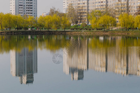 城市湖中树屋的倒影图片