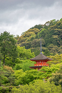 在日本京都的林山上有着春叶颜色的古老高清图片