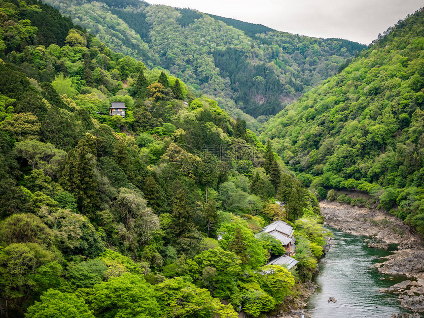 在日本京都的林山Arash图片