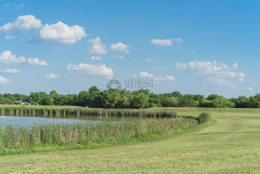 美国得克萨斯州达拉斯市郊区美丽的山坡邻里公园Reeds工厂和围绕池塘云蓝天空下地平线一排图片