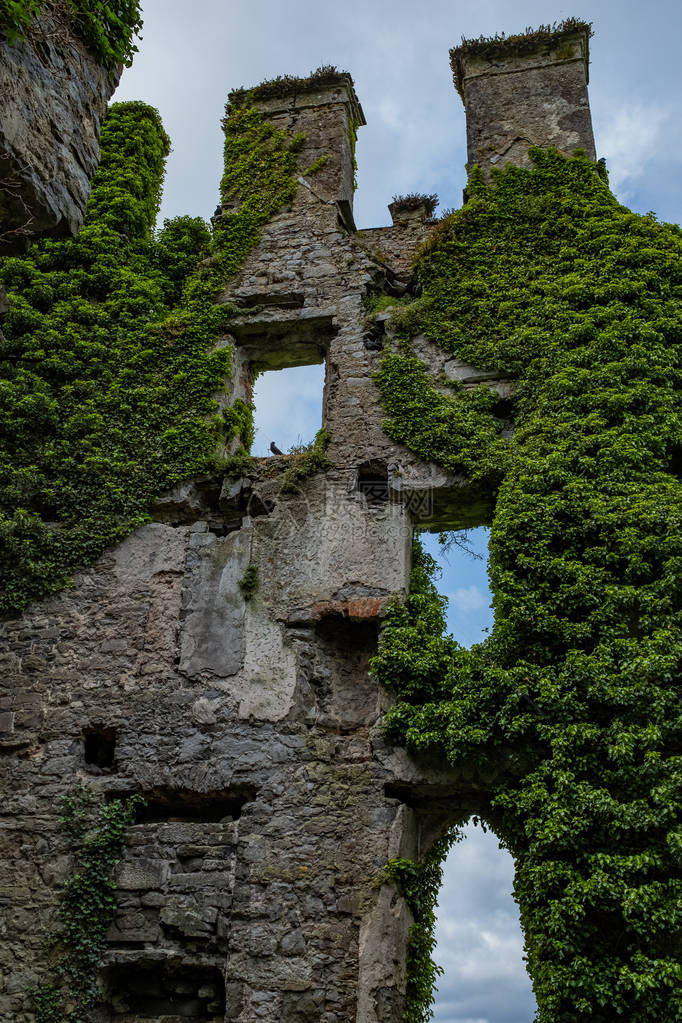 从这座壮观而神奇的常春藤覆盖的城堡内可以看到图片