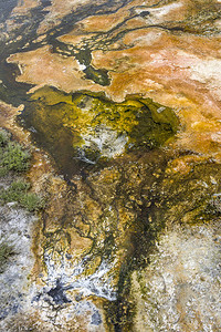 黄石公园Mammoth温泉的一个图片