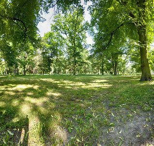 波兰沃克洛夫斯可罗尼公园高清图片