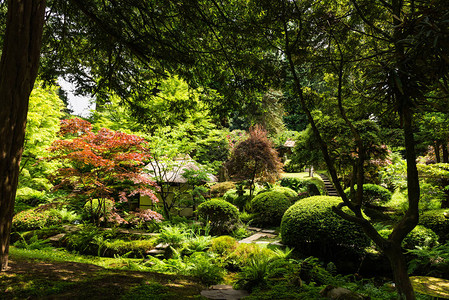 美丽的英国公共花园在夏天图片