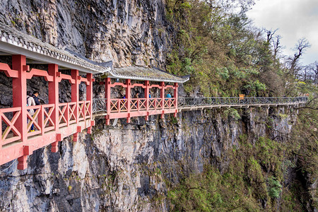 湖南Zhangjiajie湖南山周围有狭窄阳台的极高悬崖图片