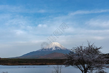 世界遗产富士山或富士山图片