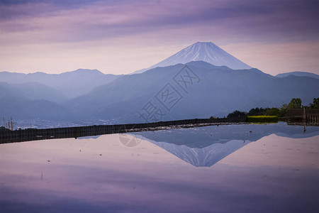 富济山泉中清晨的大气与稻田的水背景图片
