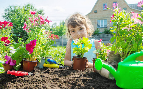 一个小女孩在种花年轻的园丁有选择的图片
