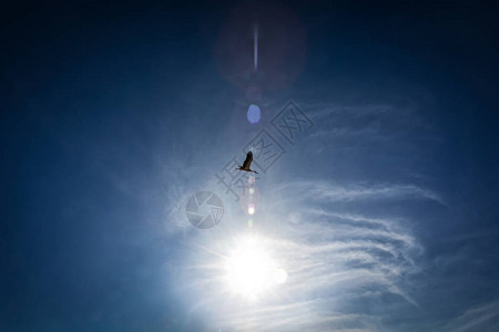 太阳和蓝天空飞翔图像对希望与图片