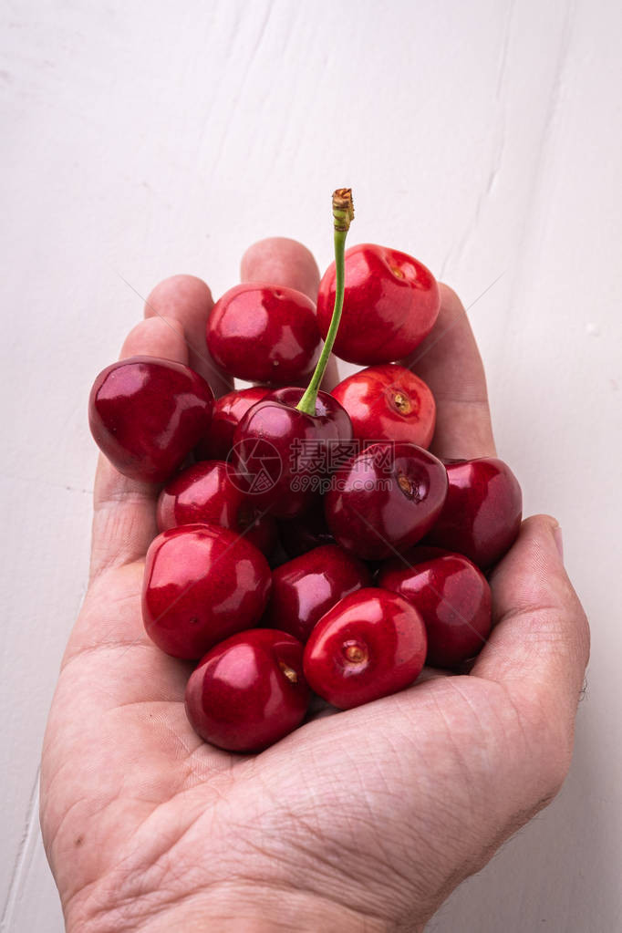 樱桃莓一枝樱桃干草握在人手中在木白图片