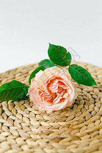 白底的自然餐巾纸上的桃子玫瑰花瓶图片