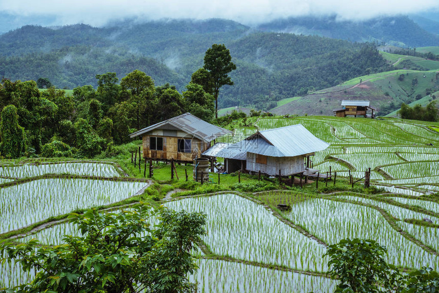 山上的景观场在雨季乡村中的村庄绿色稻田雨季雨季乡村森林雨季路线夏季自然户外假日放图片
