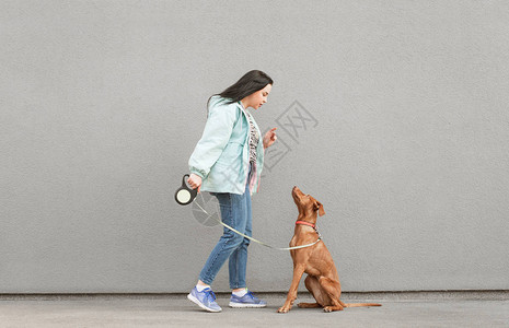 女孩在灰色的墙壁背景下训练一只漂亮的狗图片