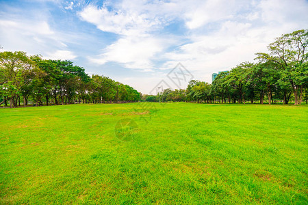 绿色城市公园图片