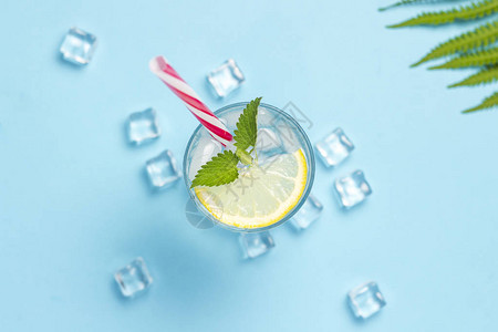 棕榈叶和蕨类植物冰块炎热的夏天酒精清凉饮料解渴酒吧的概念背景图片